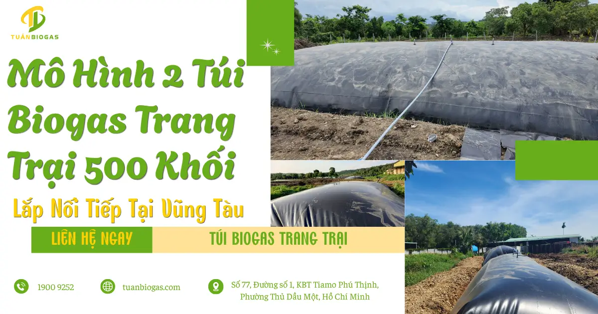 Mô Hình 2 Túi Biogas Trang Trại 500 Khối Lắp Nối Tiếp Tại Vũng Tàu: Xử Lý 60m³ Nước Thải & Chế Bếp Gas Chuẩn